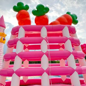Inflatable Attraction (Catalog P.45)