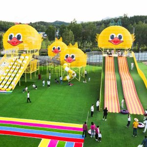 Crazy Duck Inflatable Park (Catalog P.58)